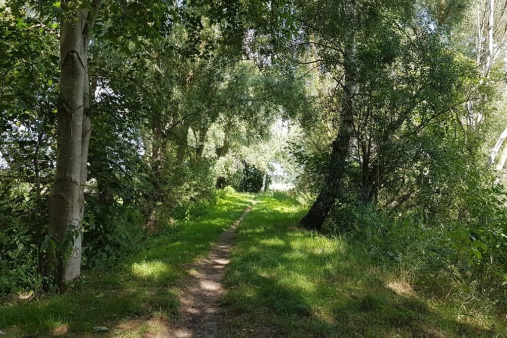 Ferienwohnung Bernsteinsucher städtische Bestlage Ribnitz-Damgarten Exterior foto